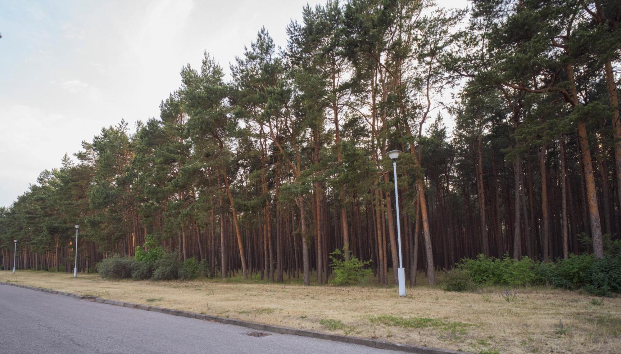 Vila Bite Palanga Exterior foto